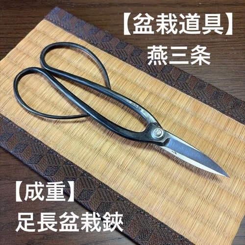 Narishige bonsai shears - narishige,