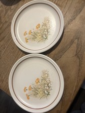 M&S 1980’s Field Flowers ?