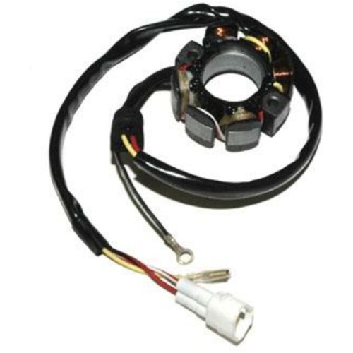 Electrosport stator for - for:, ktm