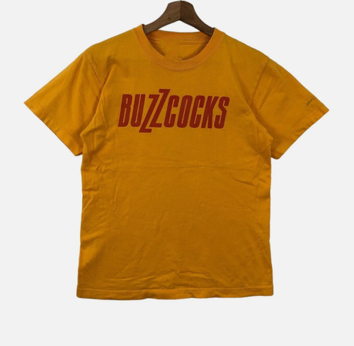 Punk rock band - band, buzzcocks