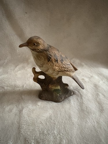 Bird ornament - bird,