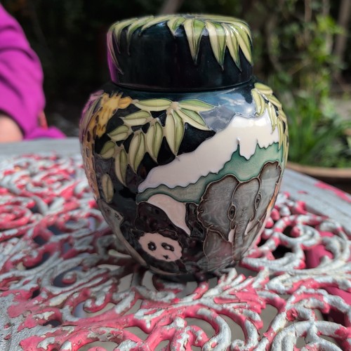 Moorcroft mcc noah ark - noah's,