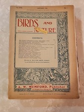 9 Birds And Nature Magazine