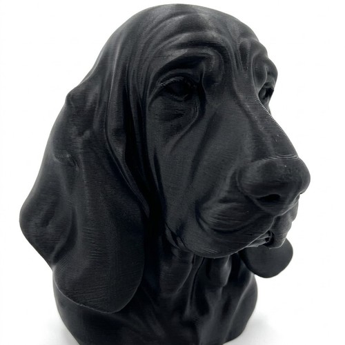 Basset hound dog - dog, home