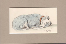 Lucy Dawson ~ Greyhound ~  Hand Coloured Print Genuine Vintage 1937