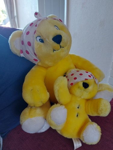 Pudsey bear collectable plush - bear,