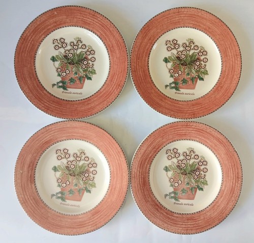 Wedgwood sarah garden salad - sarah's,