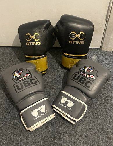 Sting boxing training - training, gloves