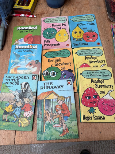 Vintage ladybird hardback - vintage,