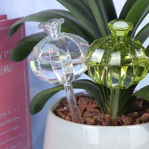 Plant self watering bulbs - plant,