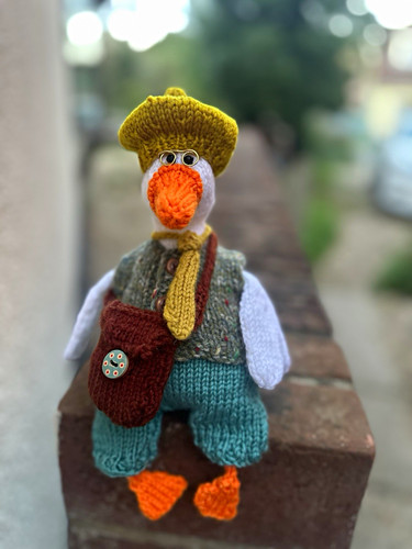 Hand knitted duck cm with - ,