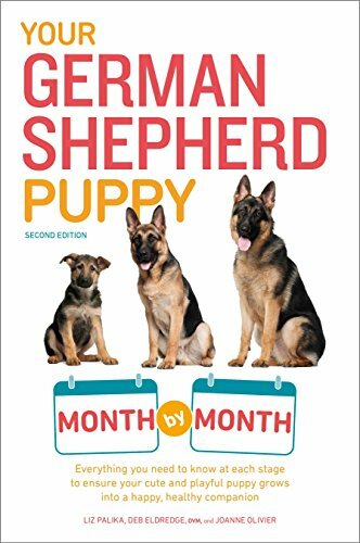 Your german shepherd - your,