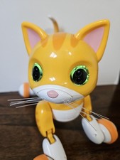 Orange Zoomer Kitty