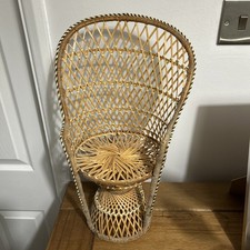 Wicker Rattan Peacock Plant