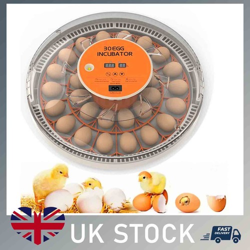 Eggs incubator egg candler - 30,