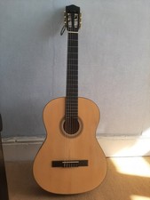 Elevation Acoustic Guitar