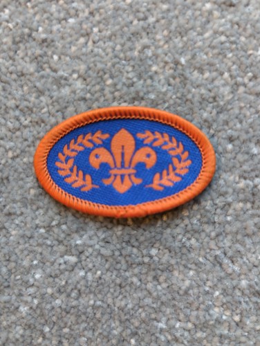 Chief scout beaver - scout, bronze