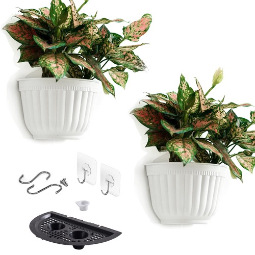 Pack plastic wall - plastic, pots