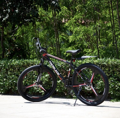 Mountain bike 21 - mountain, speed
