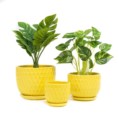 Yellow ceramic flower pots - ceramic,