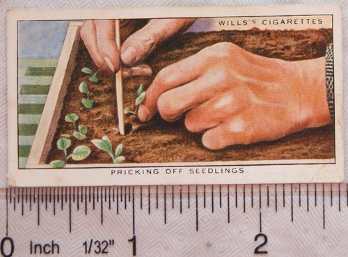1938 wills garden hints - wills,