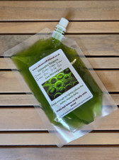 Microalgae Starter Kit - 1Ltr