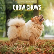 Chow Chows 2026 Square Wall