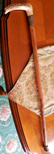 Antique walking stick - walking,