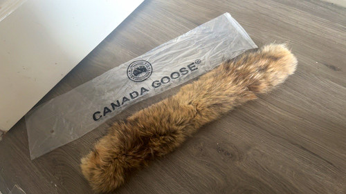 Canada goose unisex brown - goose,