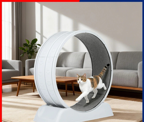 Cat exercise wheel large - exercise,