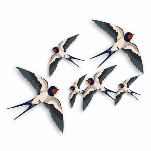 Flying swallows bird - swallows, wall