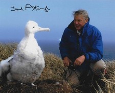 David Attenborough signed 10"