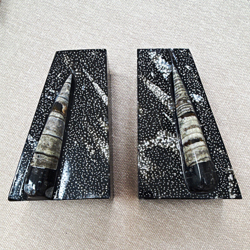 Orthoceras fossil bookends - fossil,