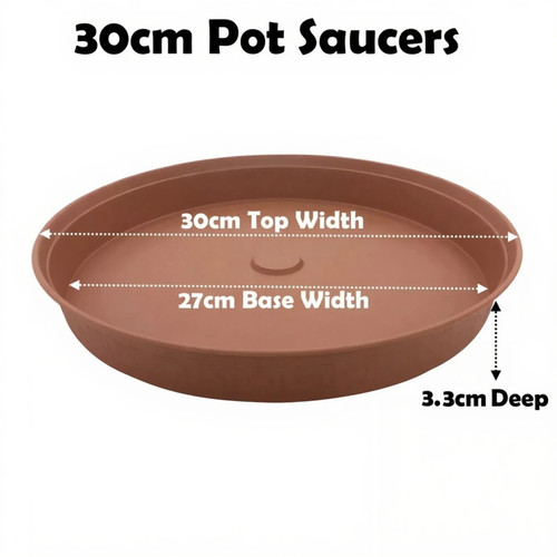 30cm plant pot - plant,