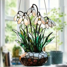 Snowdrop Spring Flowers