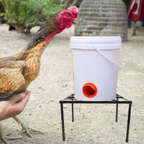 Water dispenser stand bird - dispenser,