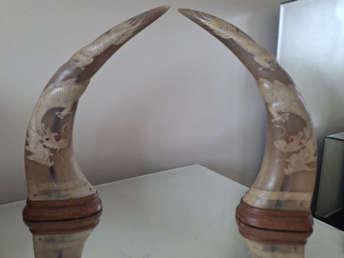 Animal horns engraved - horns, 2