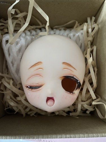 Dollfie dream head ddh01 semi - dollfie,