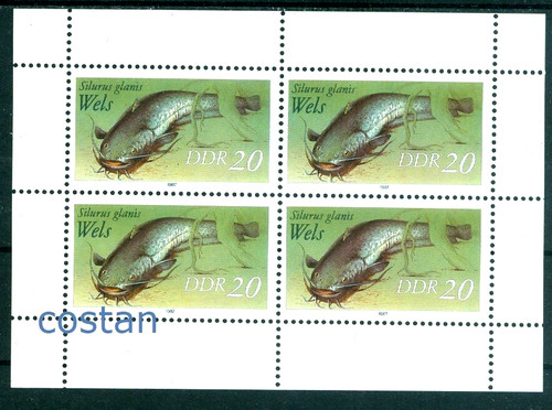 1987 freshwater fish - 1987, wels