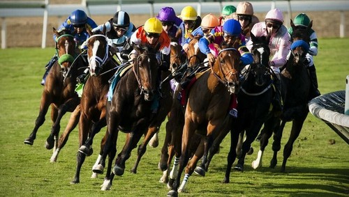 Horse racing betting - horse,