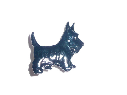 Beautiful black scottie - beautiful,