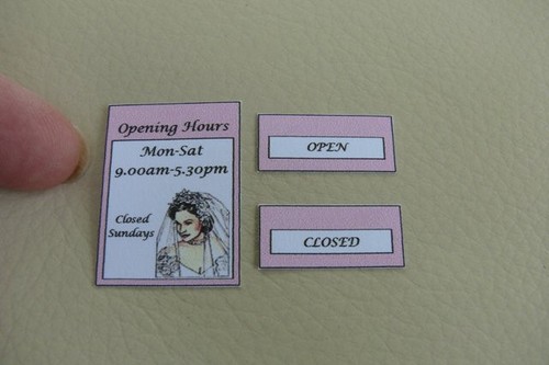 12th dolls house wedding - house,