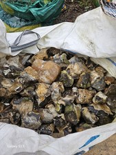 Flint Wall Stones 70mm to