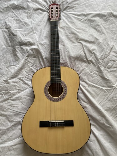 Acoustic guitar model - guitar,
