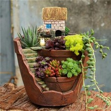 Succulent flower basket - flower,