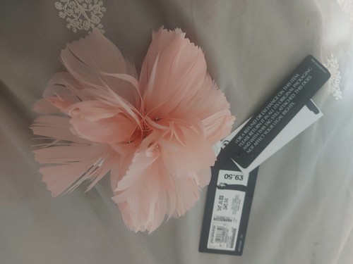 Clip facinator pink feather - on,