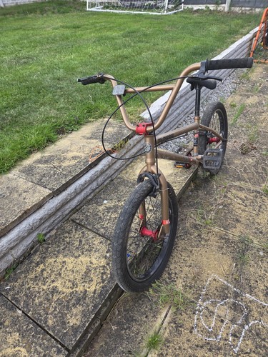 Mongoose scan r70 - mongoose,