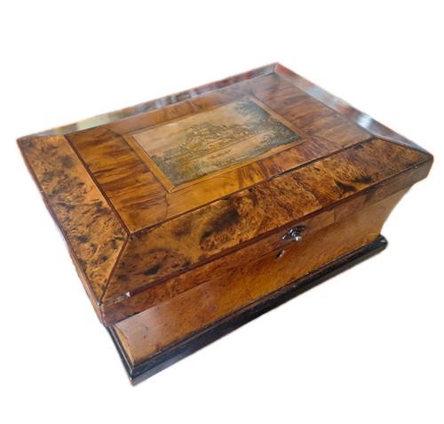 Antique tunbridge ware burr - antique,
