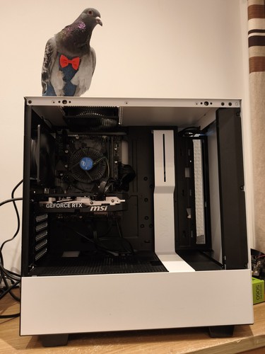 Rtx 5060 gaming - 5060, intel