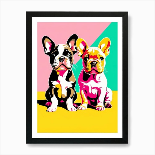 French bull dog - 'french,